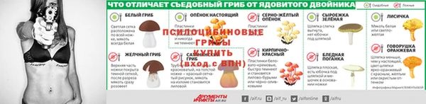 таблы Алексеевка