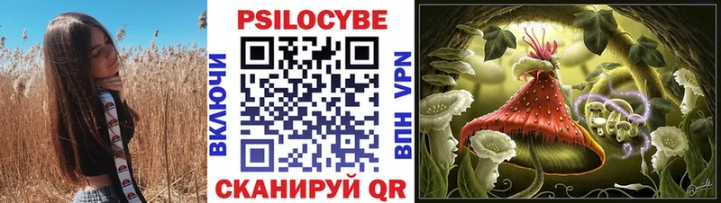 Псилоцибиновые грибы прущие грибы  где найти   Ишим 